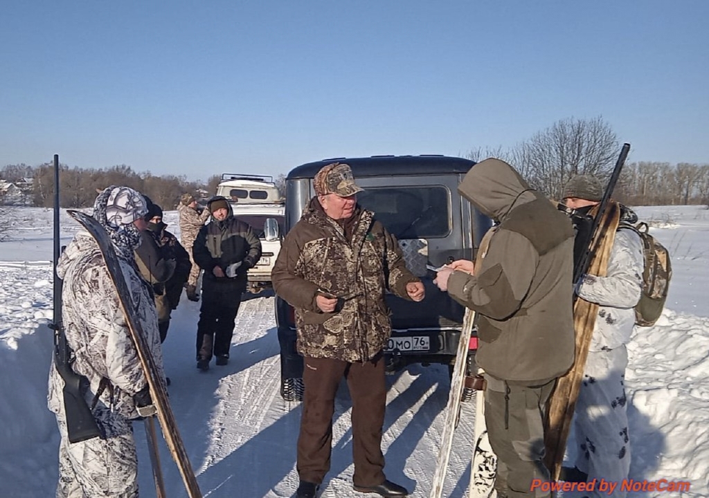 В Ярославской области сезон охоты на волка продлится до конца марта