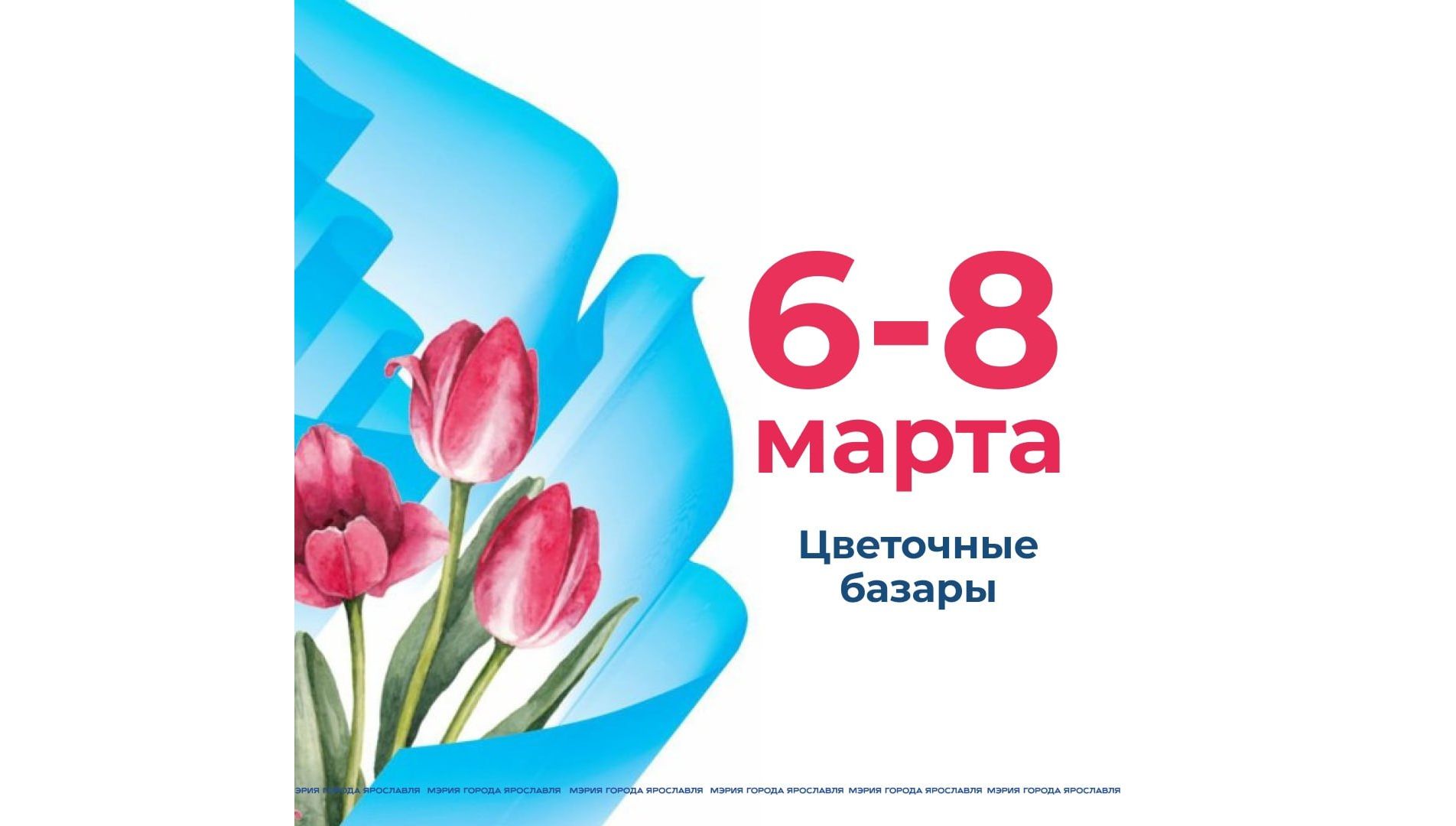 В Ярославле перед Международным женским днем откроются цветочные ярмарки