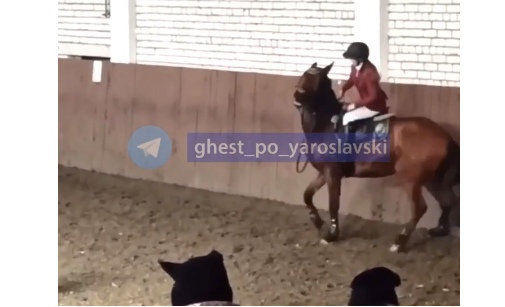 Ярославскую спортсменку дисквалифицировали за жестокое обращение с лошадью