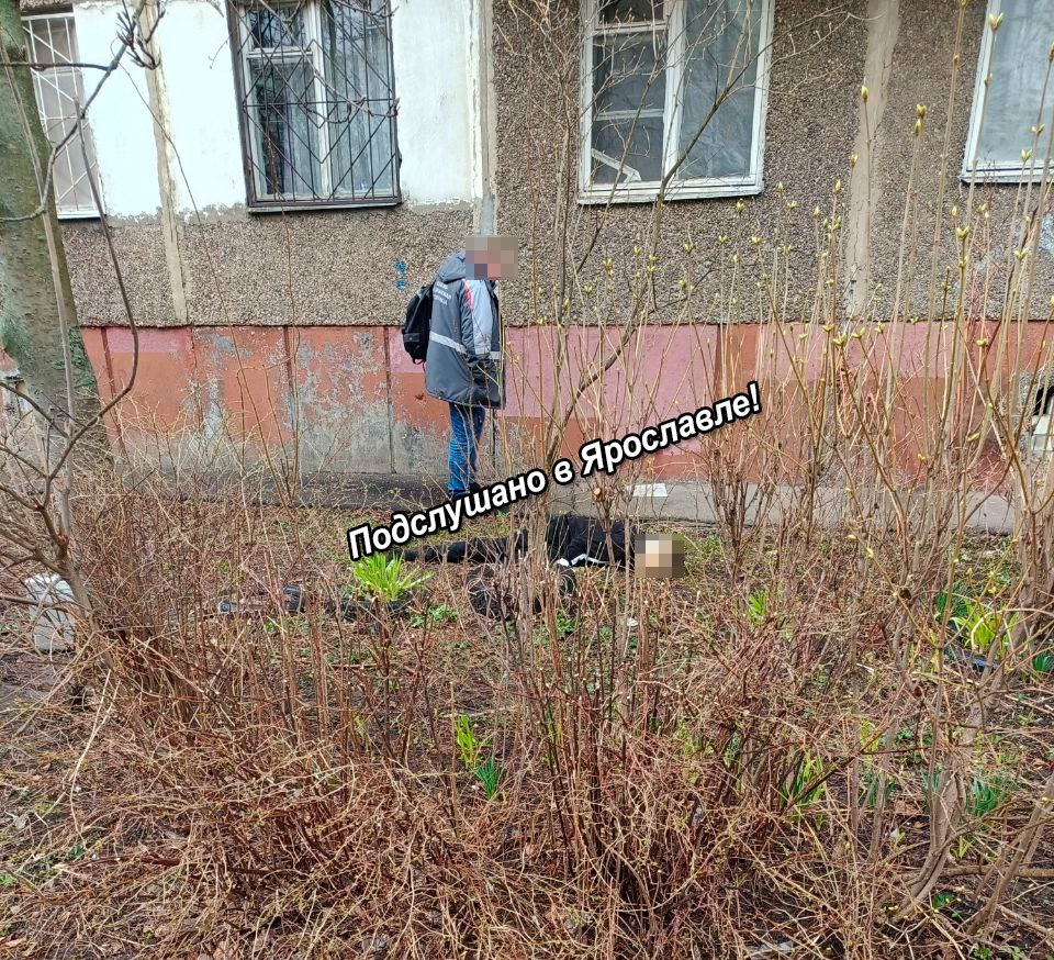 Под окнами многоквартирного дома в Ярославле обнаружили тело мужчины