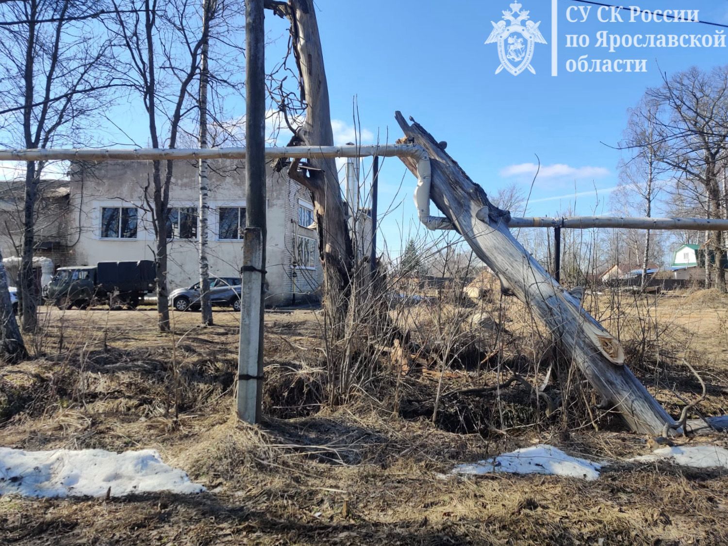 СК возбудил уголовное дело по факту падения дерева на подростка в Ярославской области
