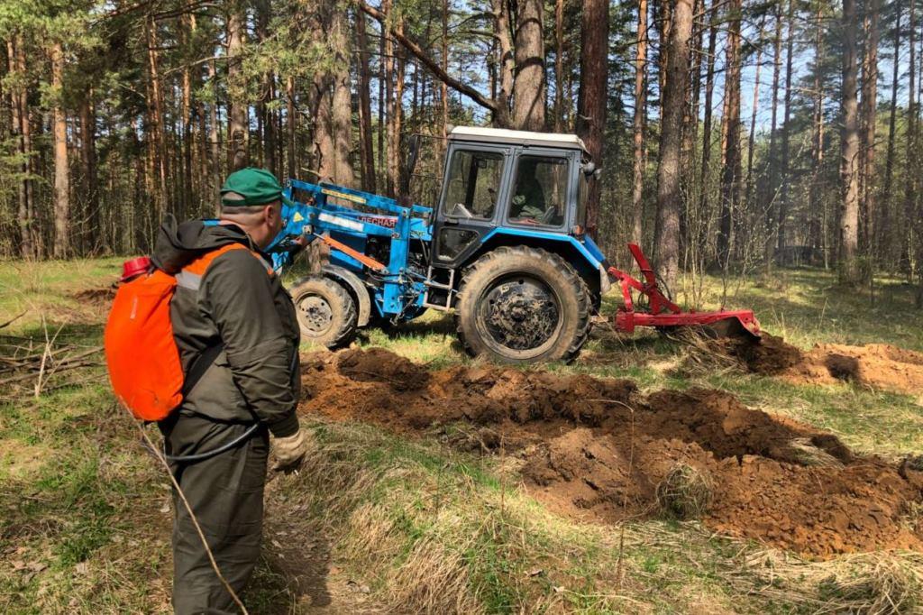 В Ярославской области запретили посещать леса