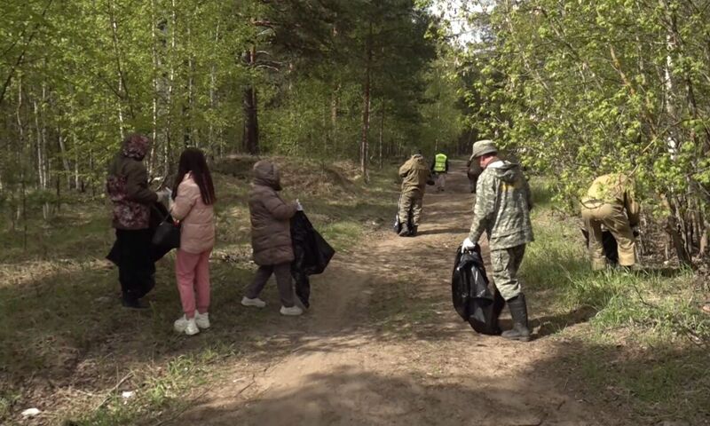 Акция «Очистим лес от мусора» началась в Ярославской области
