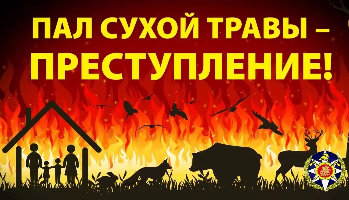 Ярославцам напомнили об опасности пала травы