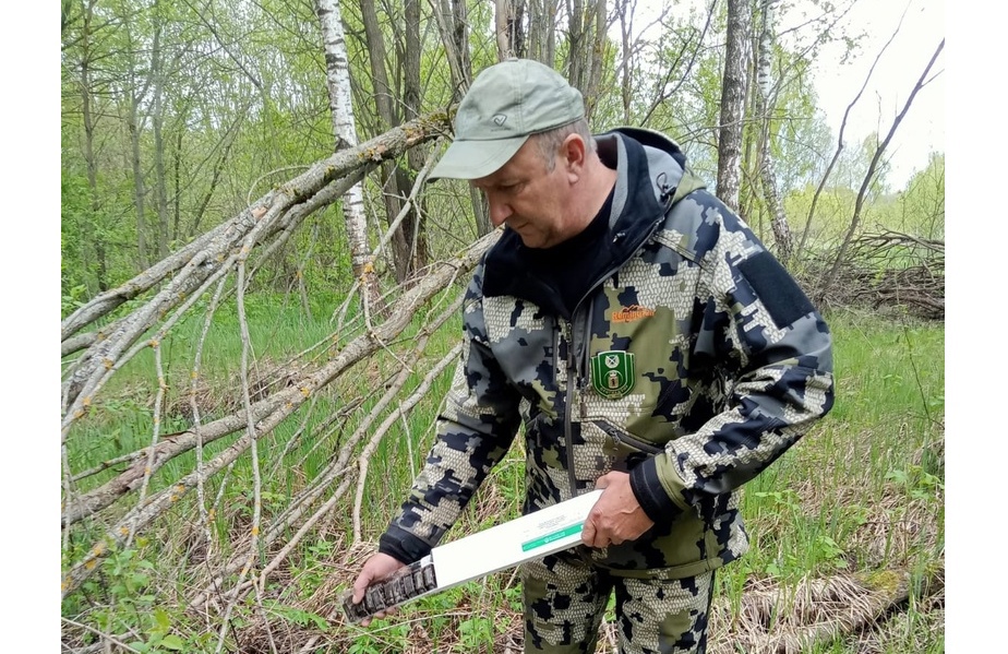 Вакцинация диких животных против бешенства началась в Ярославской области