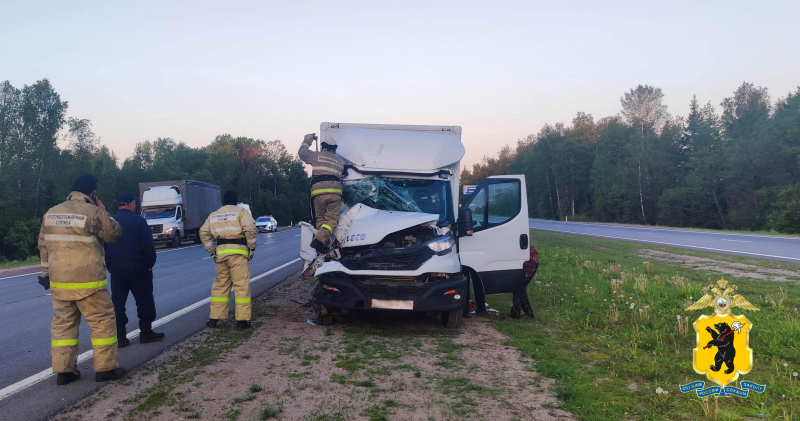 В ДТП с грузовиками на трассе в Ярославской области пострадал водитель