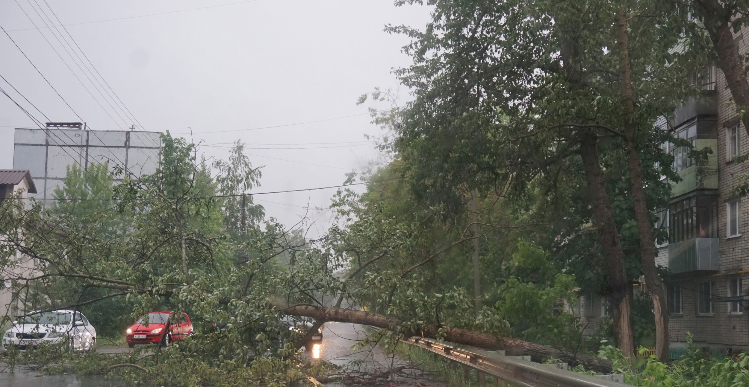 В Ярославской области во время грозы ветер валил деревья