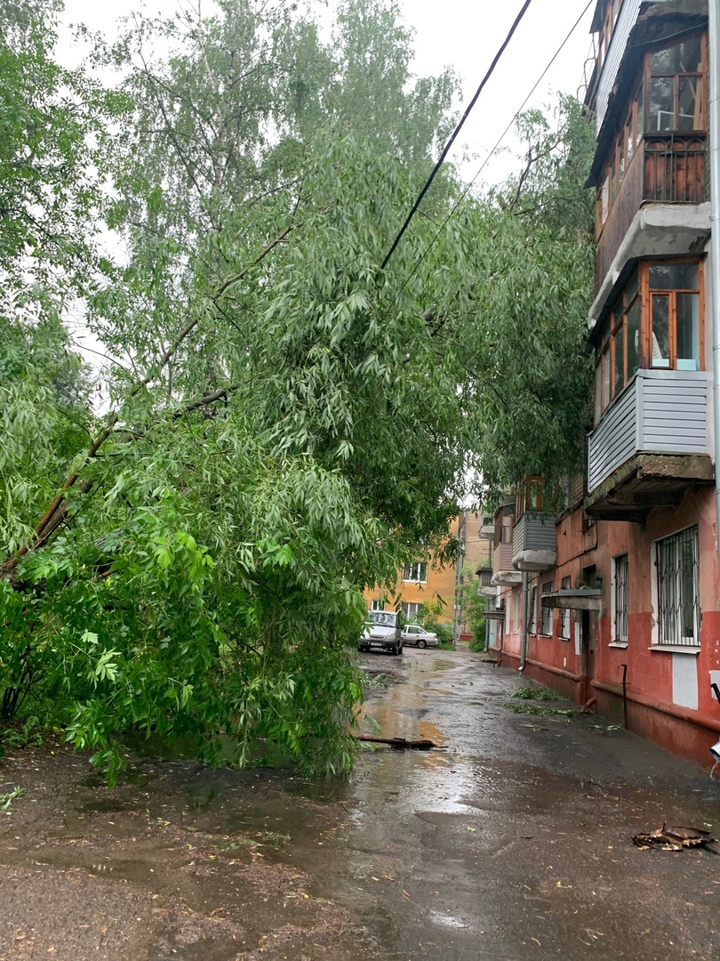 Затопленные улицы и поваленные деревья: жители Ярославля делятся кадрами  последствий ливня | 20.06.2024 | Ярославль - БезФормата