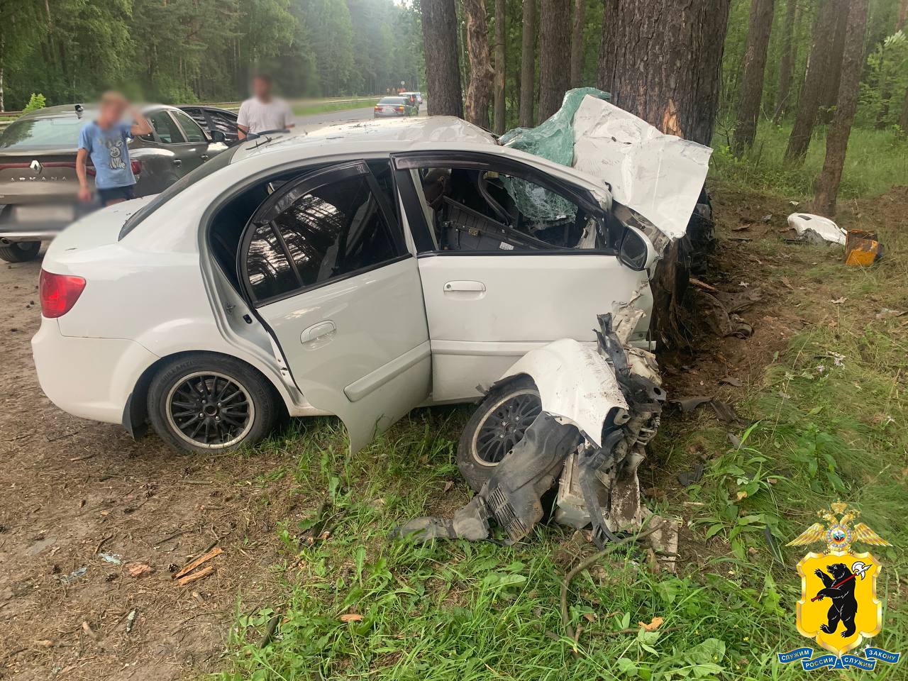 Под Ярославлем водитель иномарки на полном ходу врезался в дерево и погиб