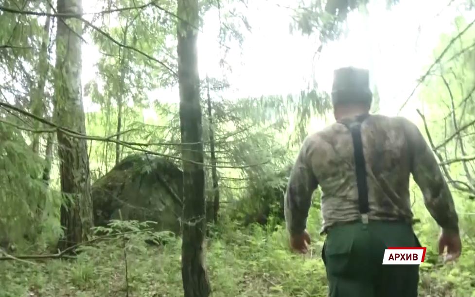 Житель Ярославской области заплатит миллион за убийство самки лося