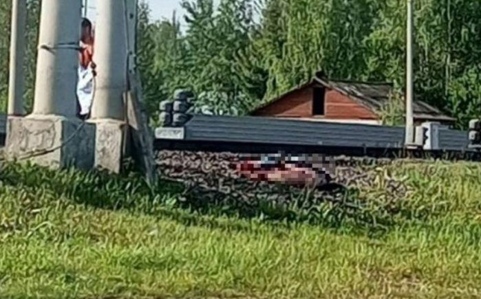 Под Ярославлем пассажирский поезд насмерть сбил мужчину