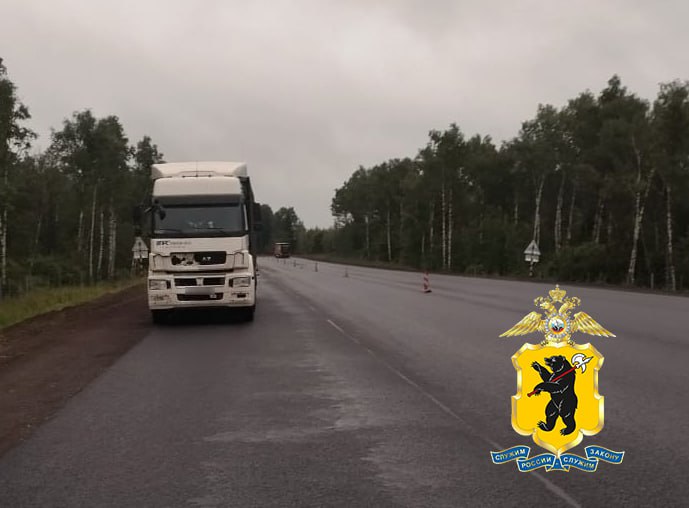 В Ярославской области грузовик насмерть сбил пешехода