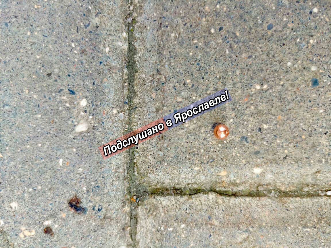 В Ярославле неизвестные из пневматического оружия обстреляли окна дома в элитном ЖК