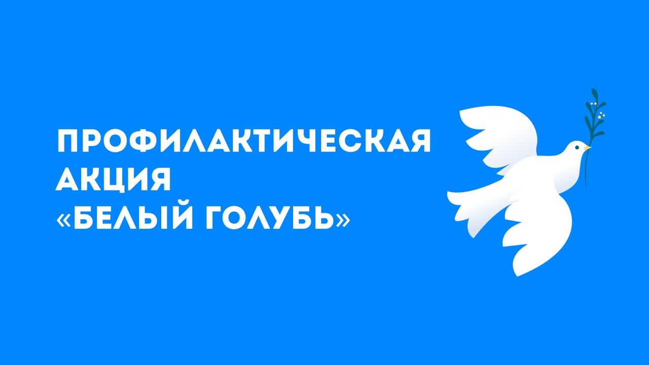 Жители Ярославской области примут участие в акции «Белый голубь»