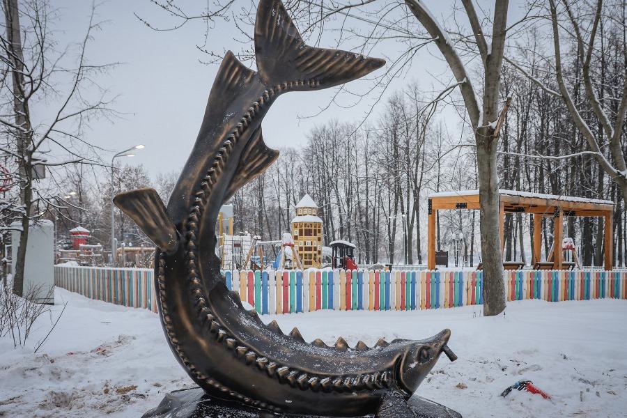 В Рыбинске происходит «наплыв» рыб