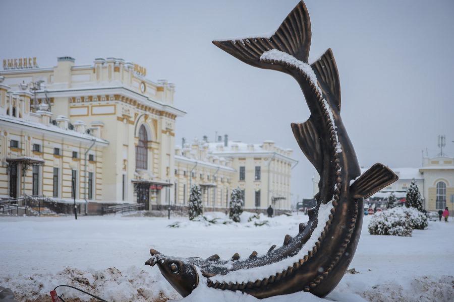 В Рыбинске происходит «наплыв» рыб