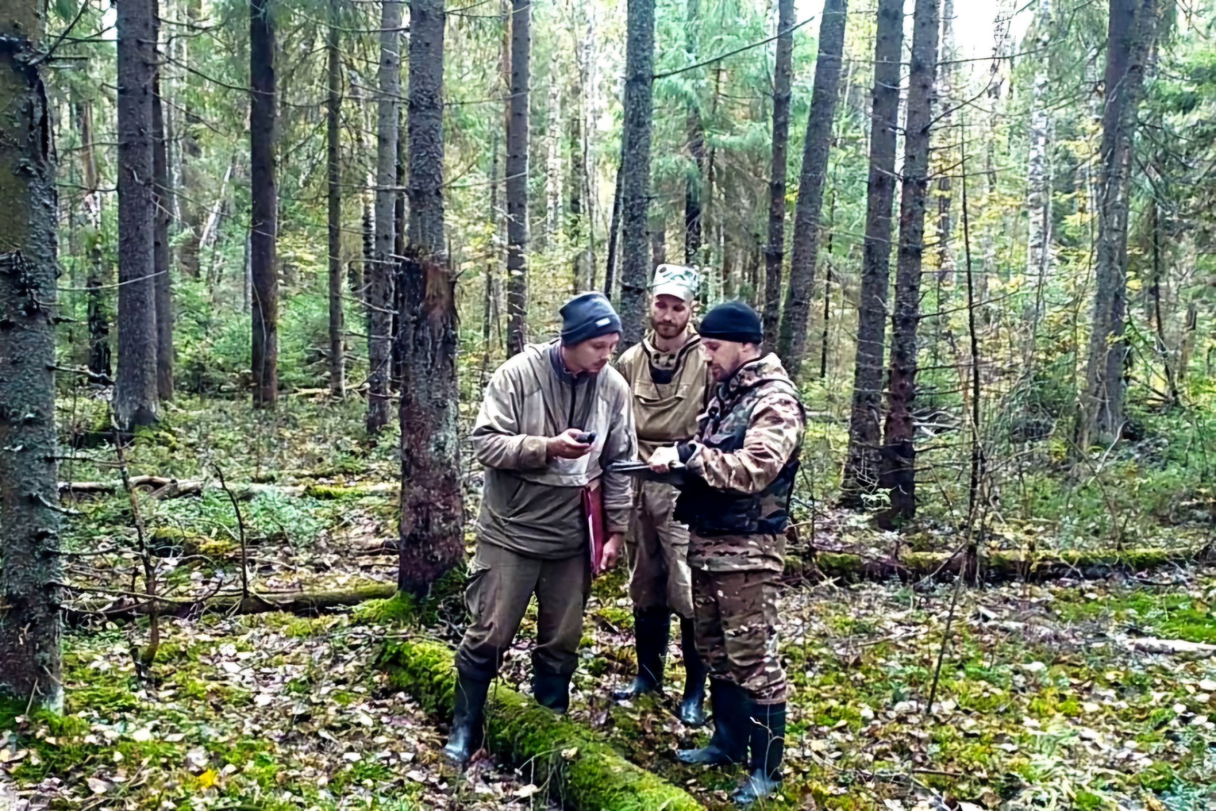 ​Лесопатологические обследования в Ярославской области запланированы на площади 3500 гектаров