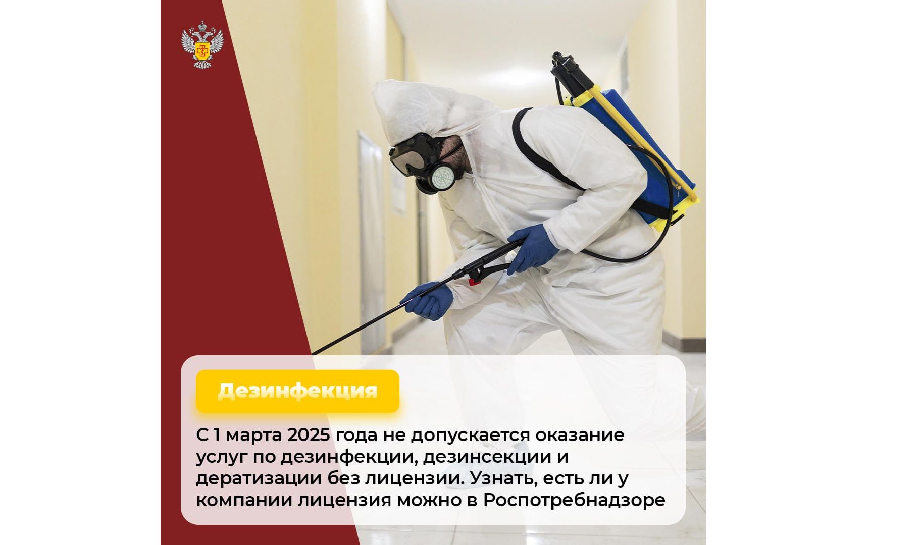 Ярославцам рассказали, как проверить наличие лицензии у дезинфекторов