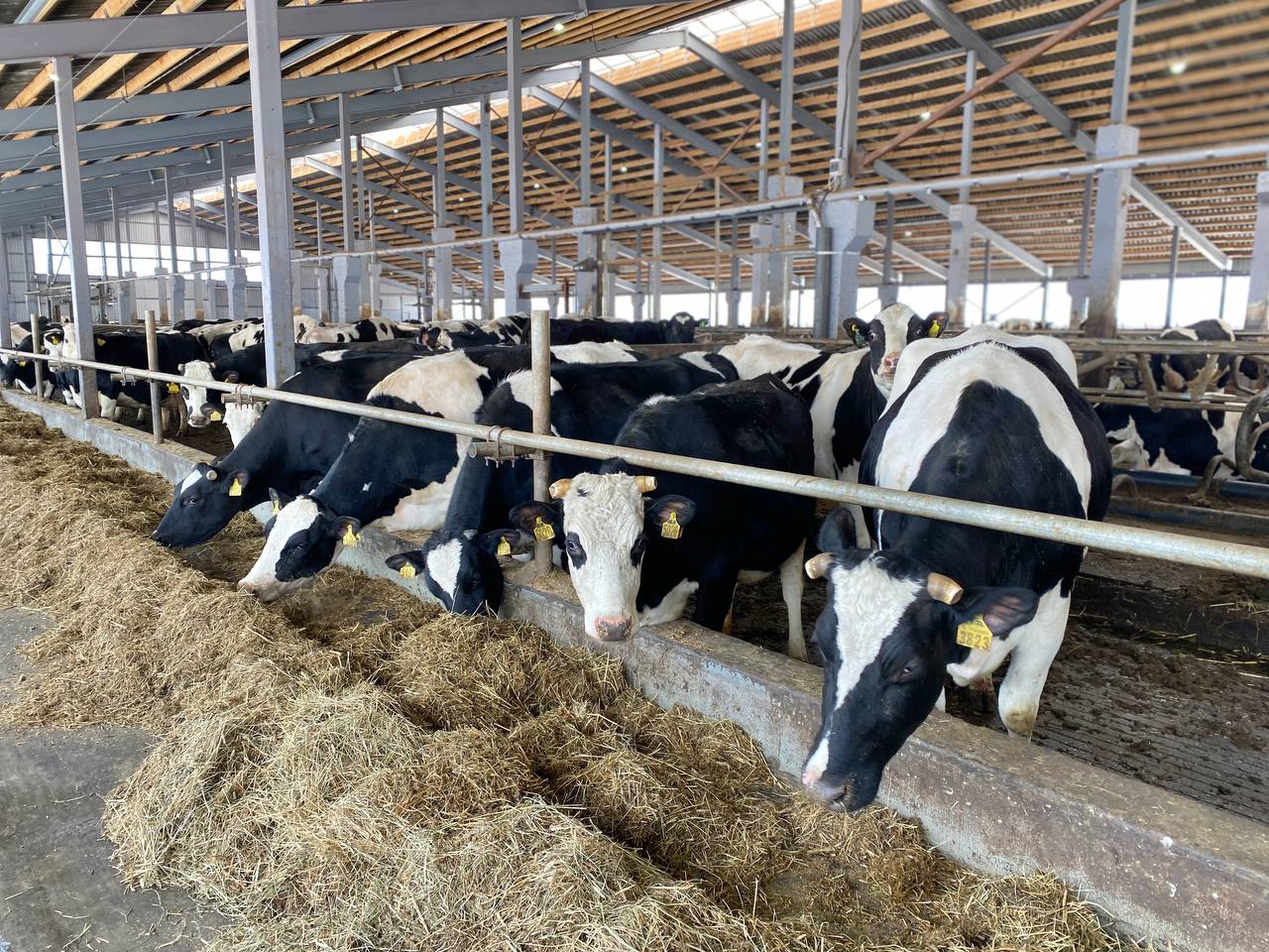 Ярославские аграрии за год произвели продукции на 70,3 млрд рублей