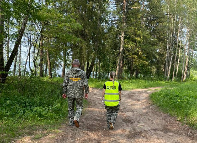 Во время противопожарного режима в ярославских лесах зафиксировано 30 нарушений