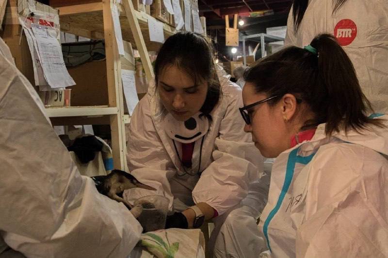 Ярославские волонтеры претендуют на нагрудные знаки «Доброволец России»