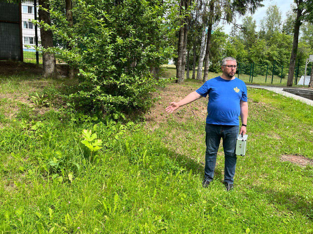 На территории детского оздоровительного лагеря в Ярославской области нашли борщевик