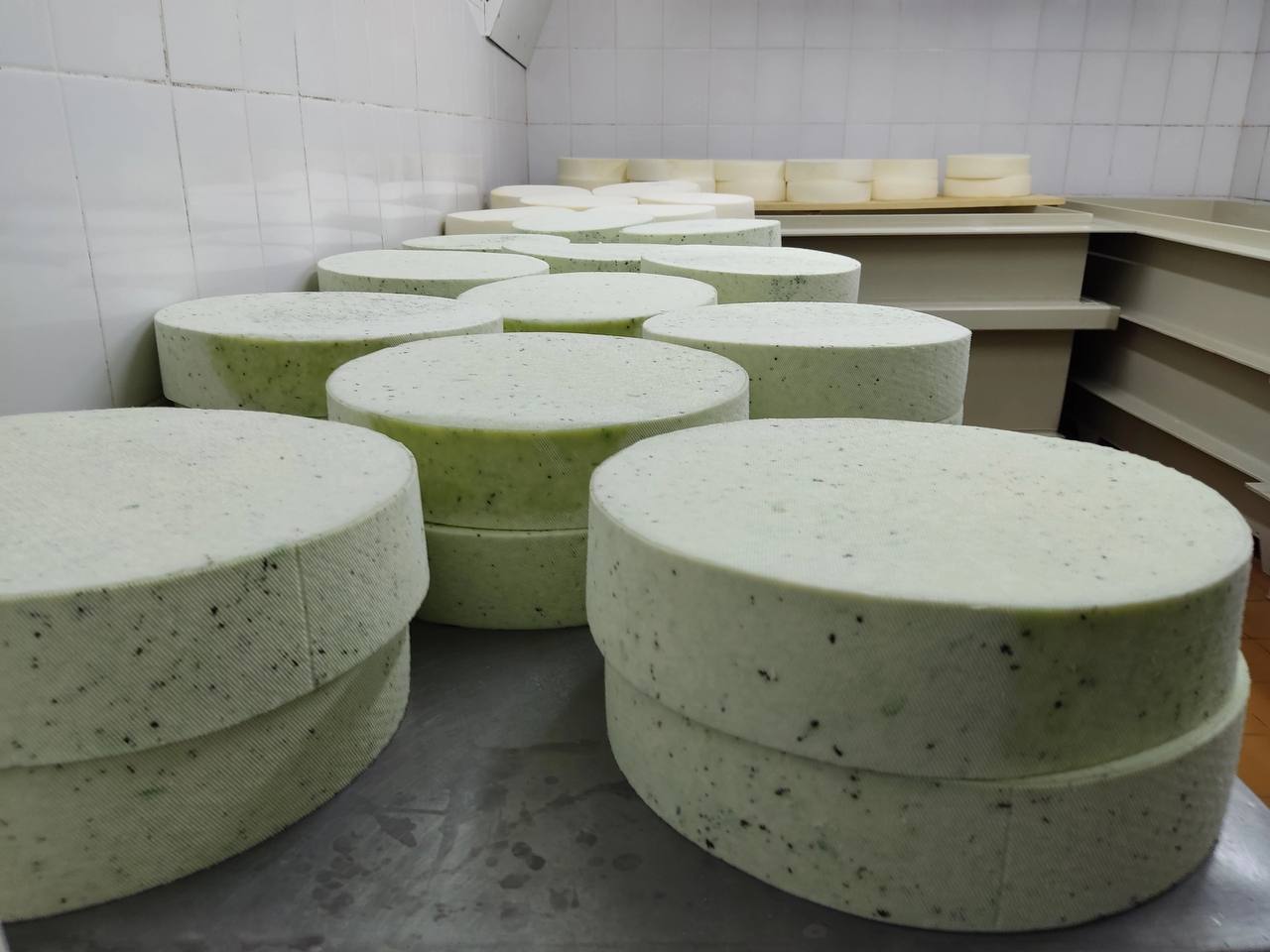 Ярославские аграрии подвели итоги работы за полгода