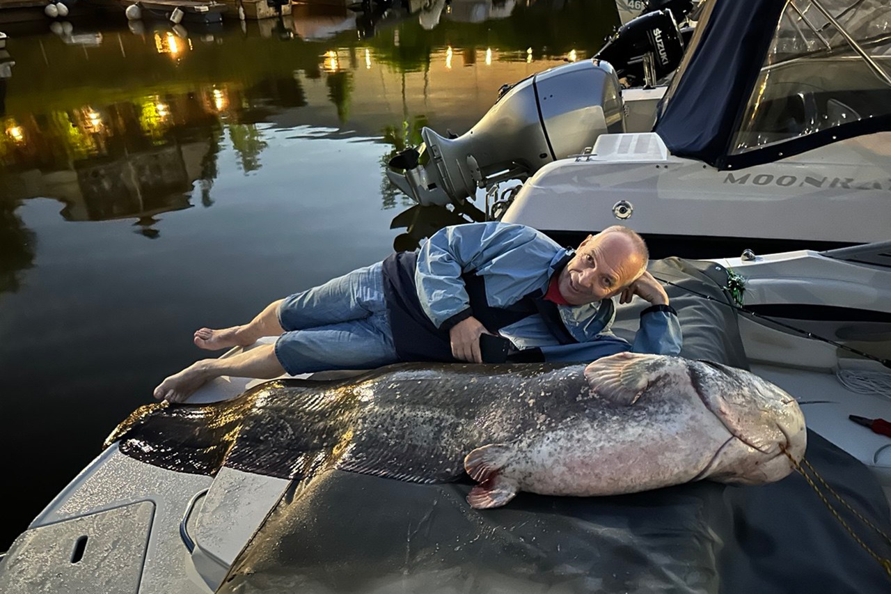 Житель Ярославля поймал в Волге двухметрового сома