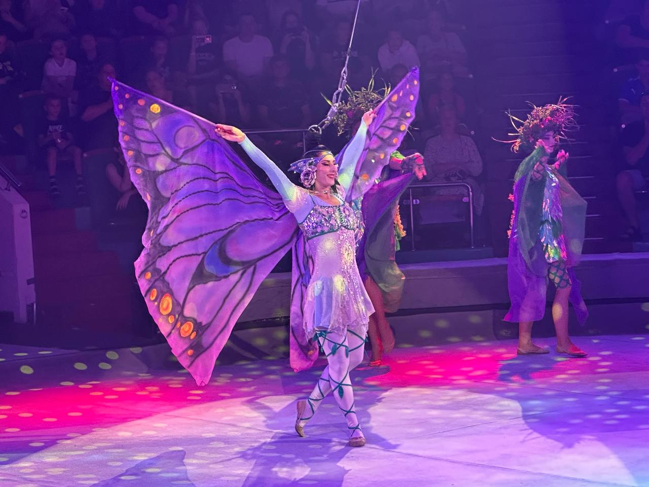 1300 детей из округов Ярославской области посетили бесплатно цирк