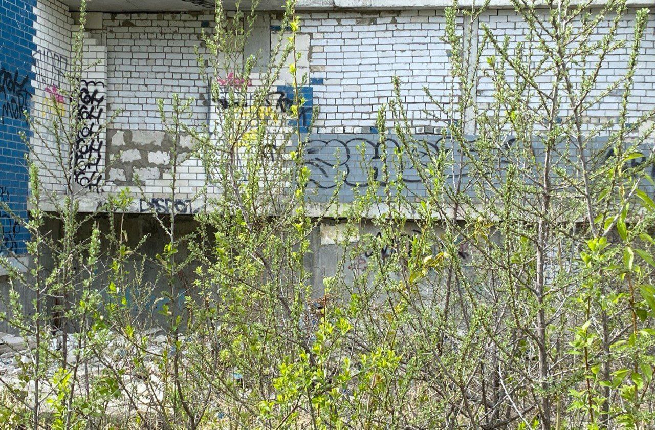 В Ярославле с недостроя сорвалась 13-летняя девочка: прокуратура проводит проверку