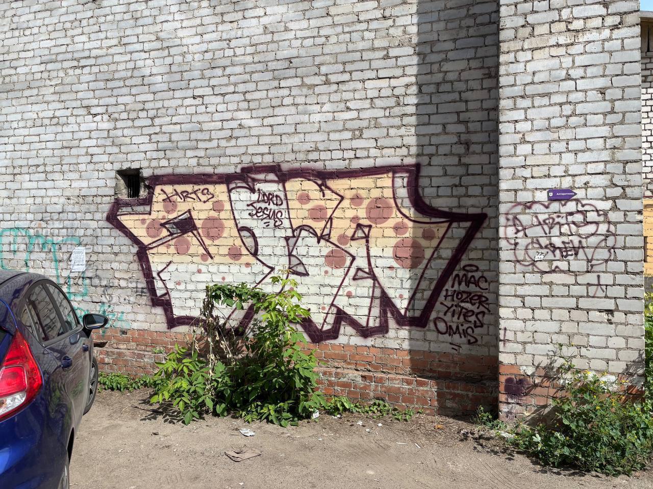 В Ярославской области вандалы заплатят более 50 млн рублей за граффити