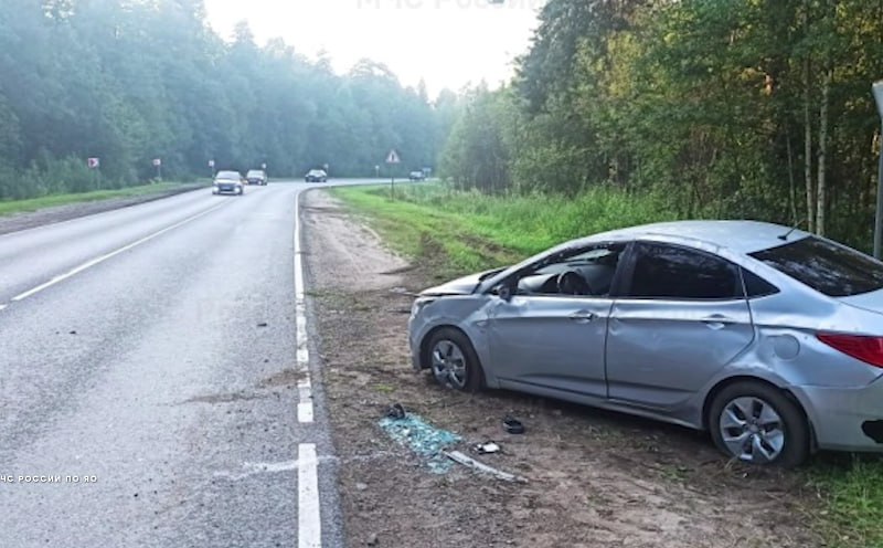 В результате съезда в кювет в Ярославской области пострадали два человека