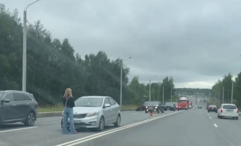 В Ярославле утром водитель иномарки сбил лося