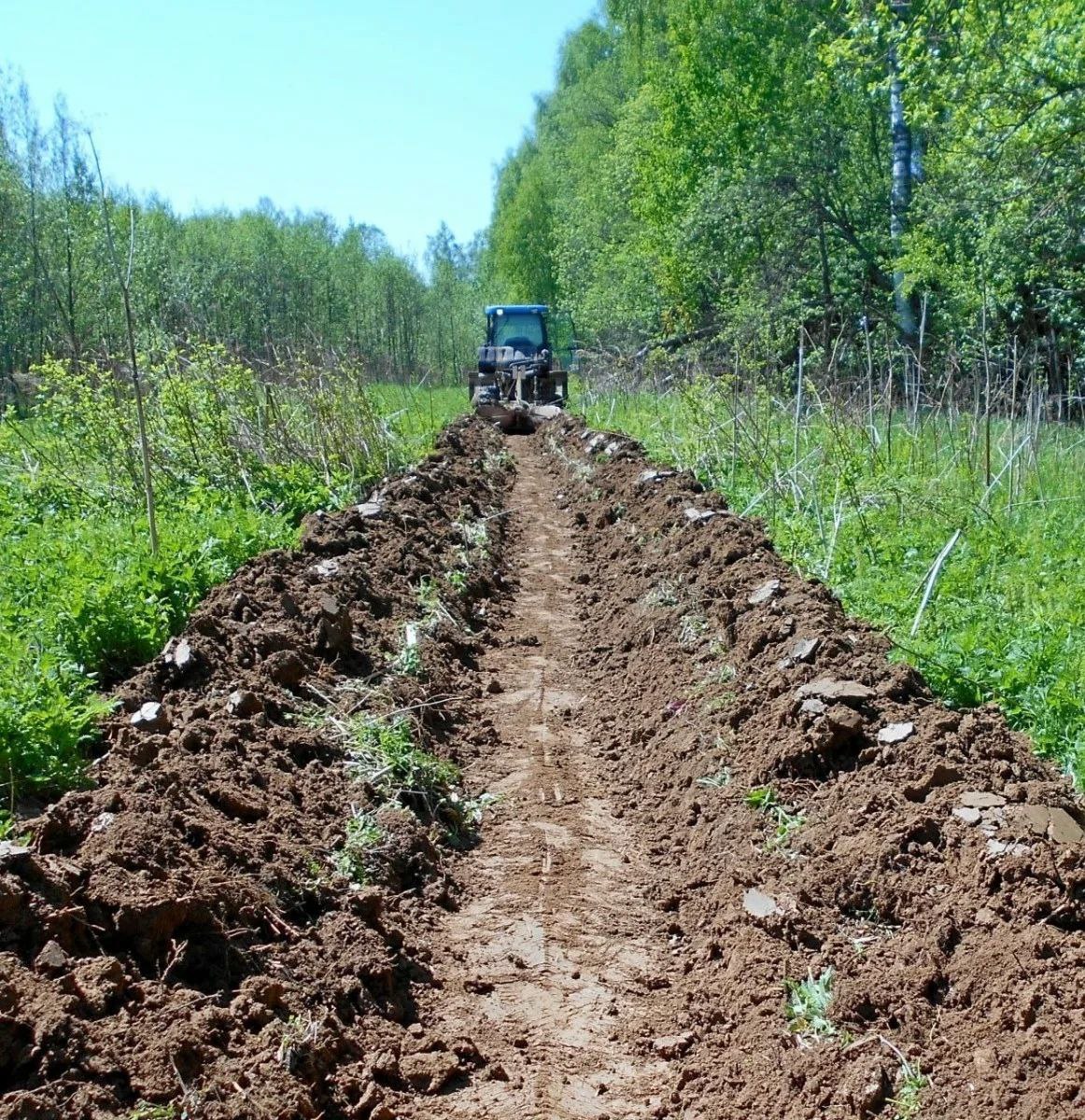 В Ярославской области создано более 500 километров минерализованных полос