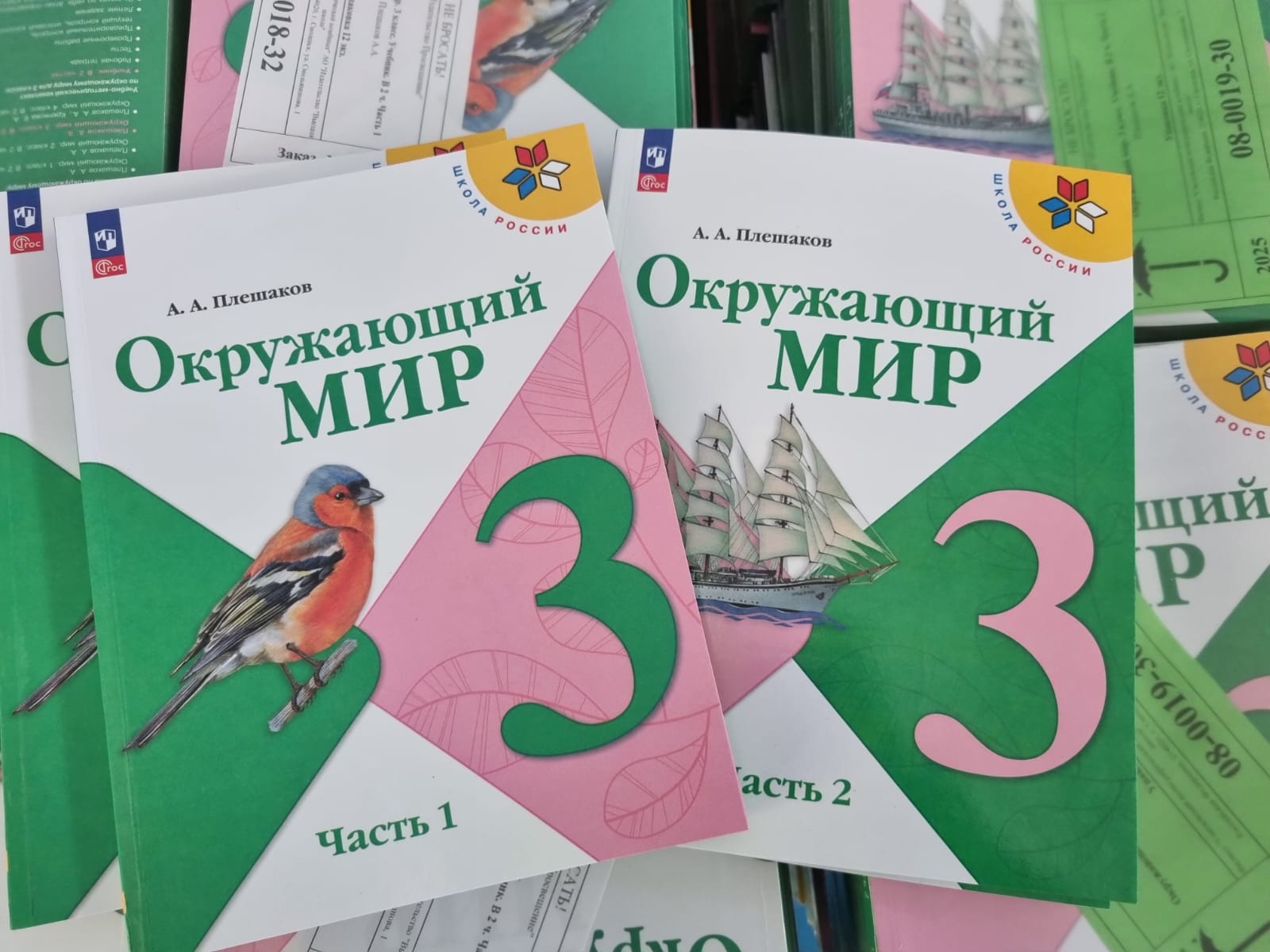 Ярославские школы получили более 200 тысяч новых учебников