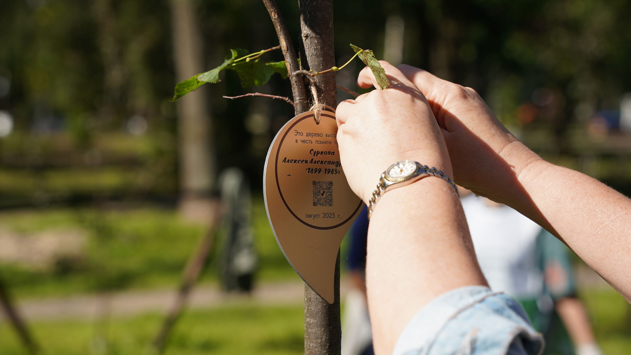 В Ярославле заложили аллею в честь писателей – участников Великой Отечественной войны