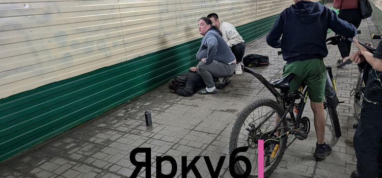 В Ярославле прохожие задержали вандала с баллончиком