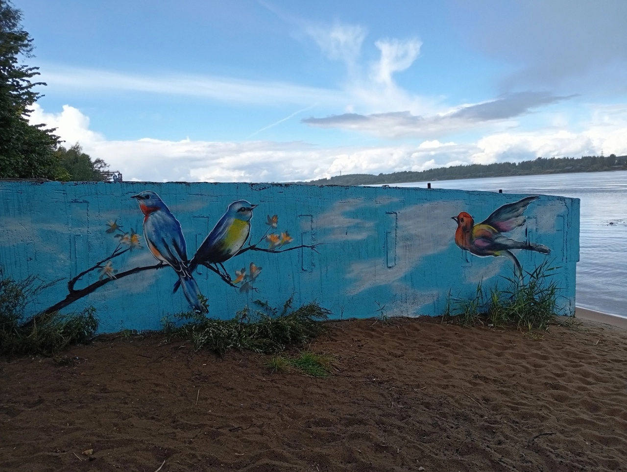 В Ярославле дебаркадер на берегу Волги украсили ярким граффити