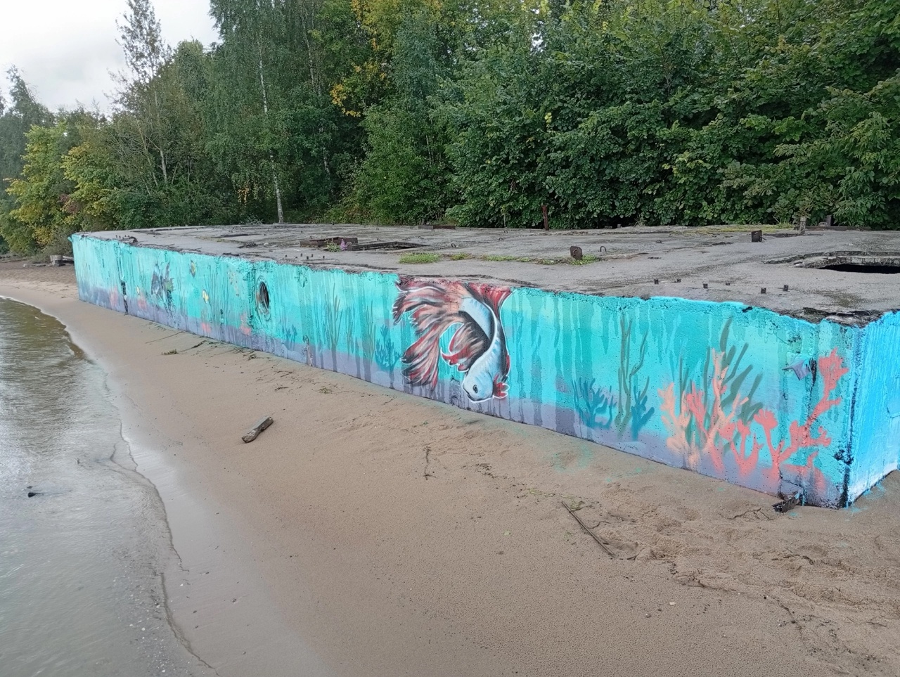 В Ярославле дебаркадер на берегу Волги украсили ярким граффити