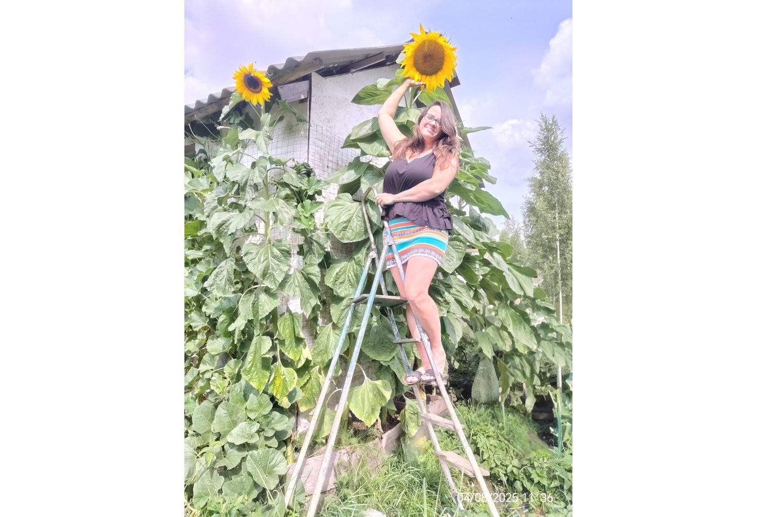 Жительница Рыбинска раскрыла секрет своих гигантских овощей, и не только