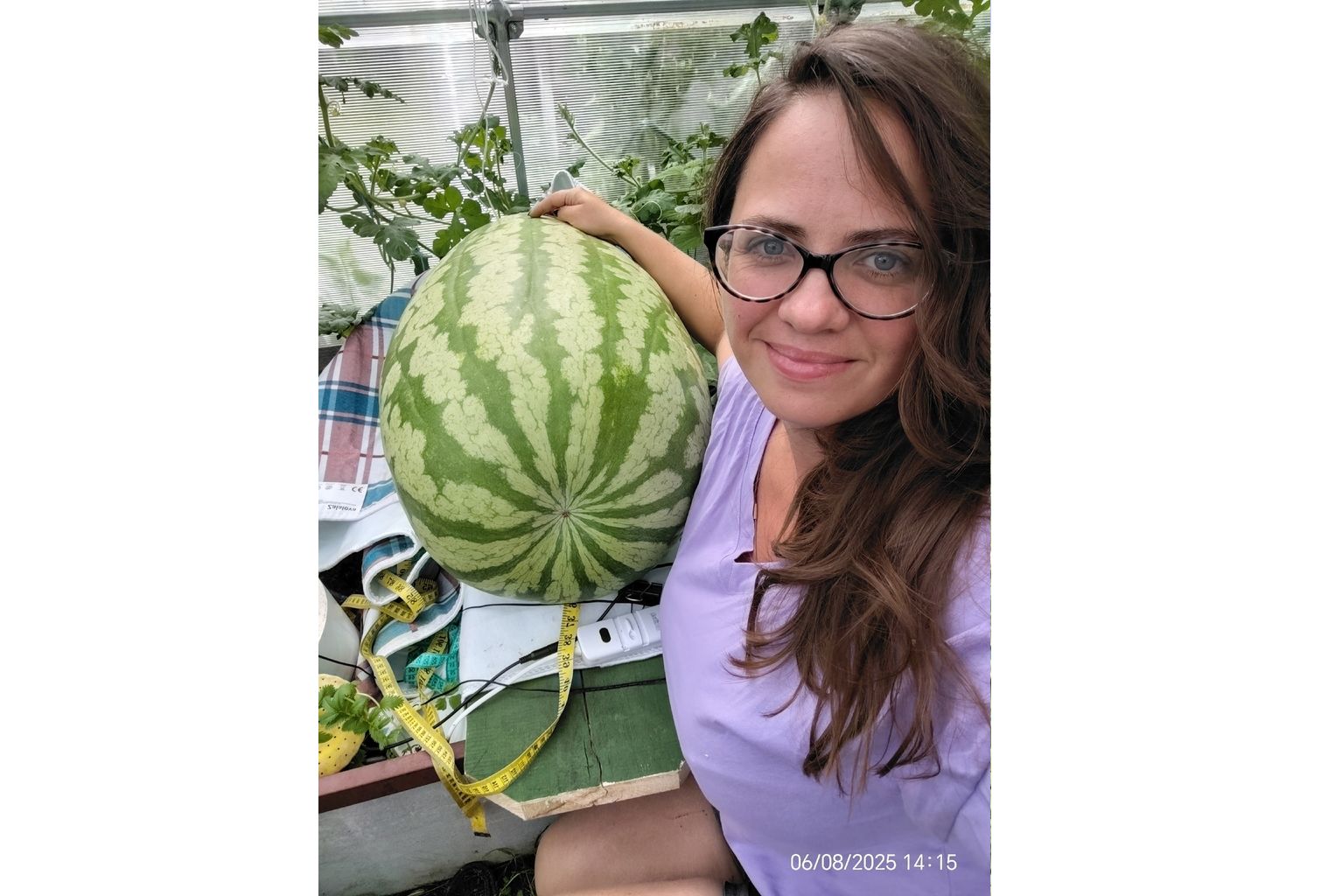 Жительница Рыбинска раскрыла секрет своих гигантских овощей, и не только