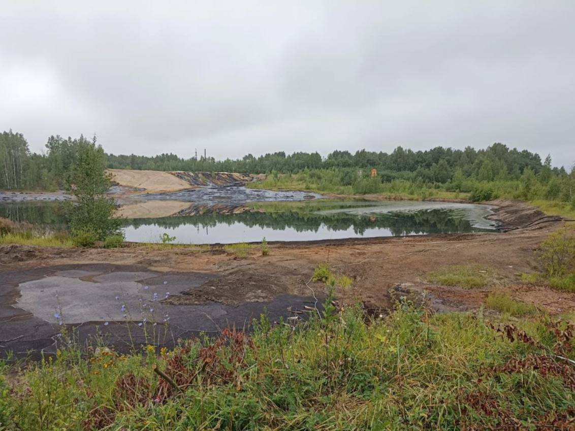 В Ярославле приступили к обследованию «зеленых масел»