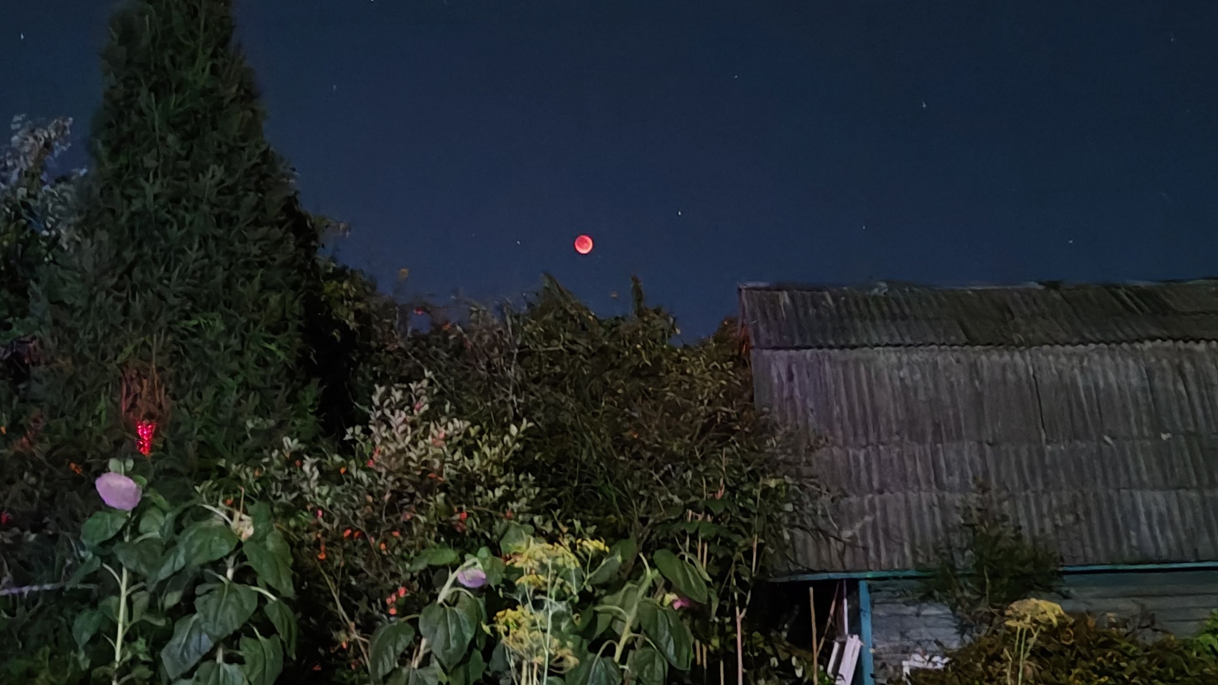 Ярославцы в сетях делятся фото лунного затмения