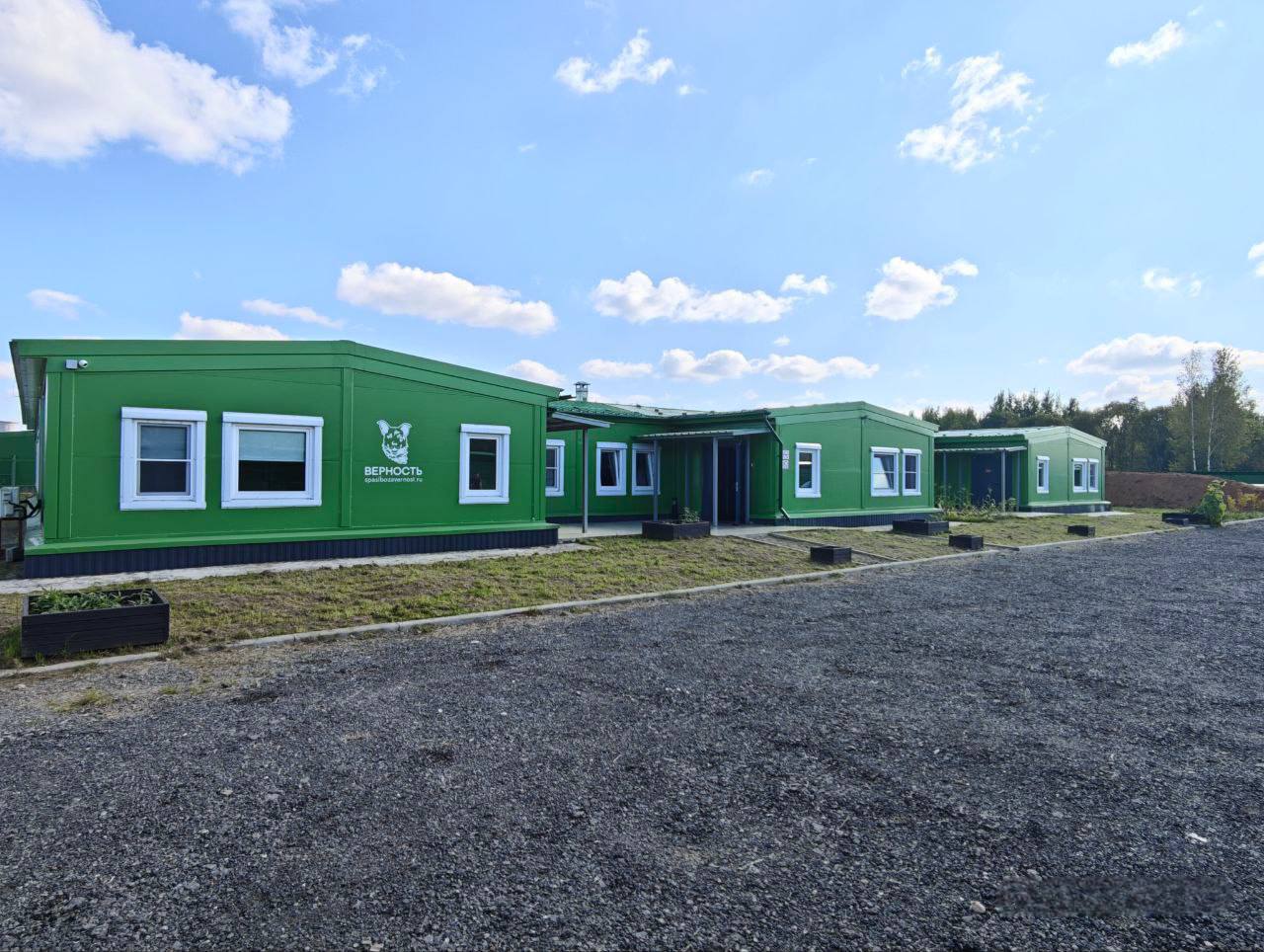 Современный центр отлова и стерилизации бездомных животных открылся в Ярославле