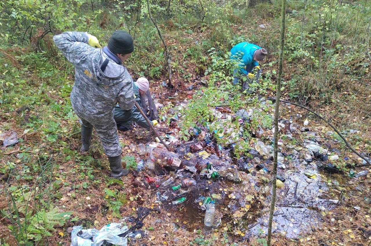 ​Более 260 несанкционированных свалок ликвидировали в Ярославской области с начала года