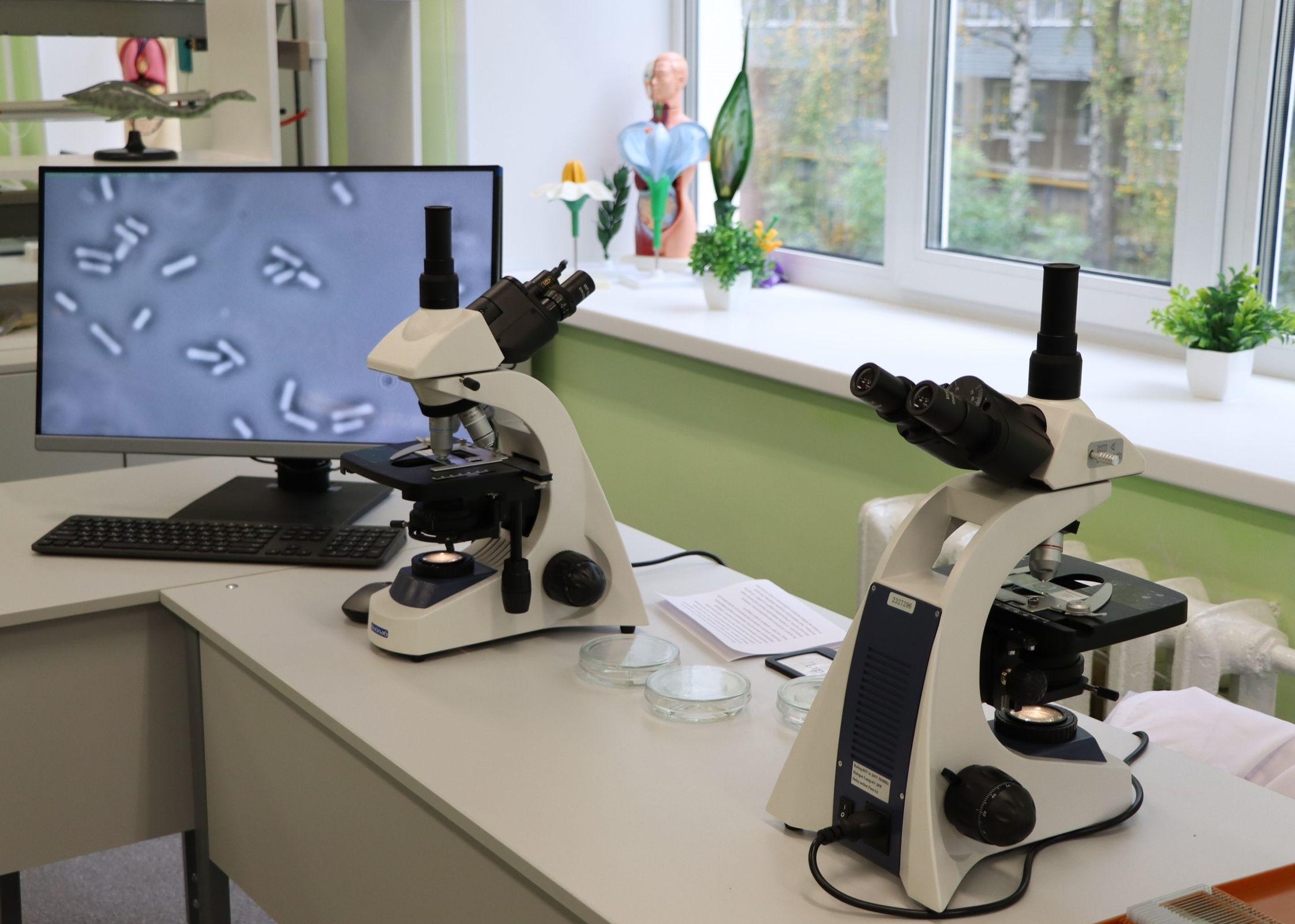 Агротехнологические классы открылись в школах Ярославской области