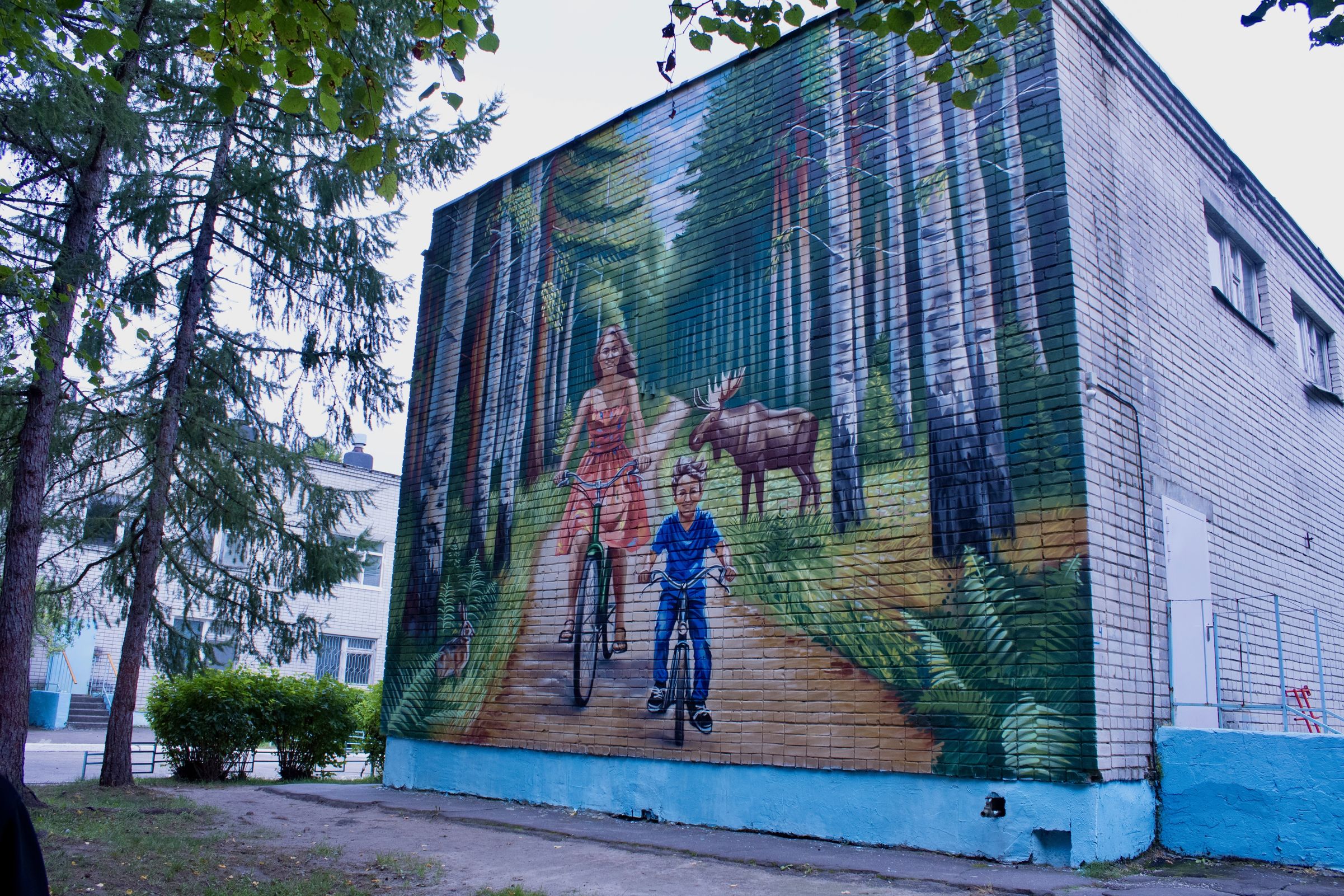 В этом году общественные здания еще в 13 округах региона украсили выразительные муралы