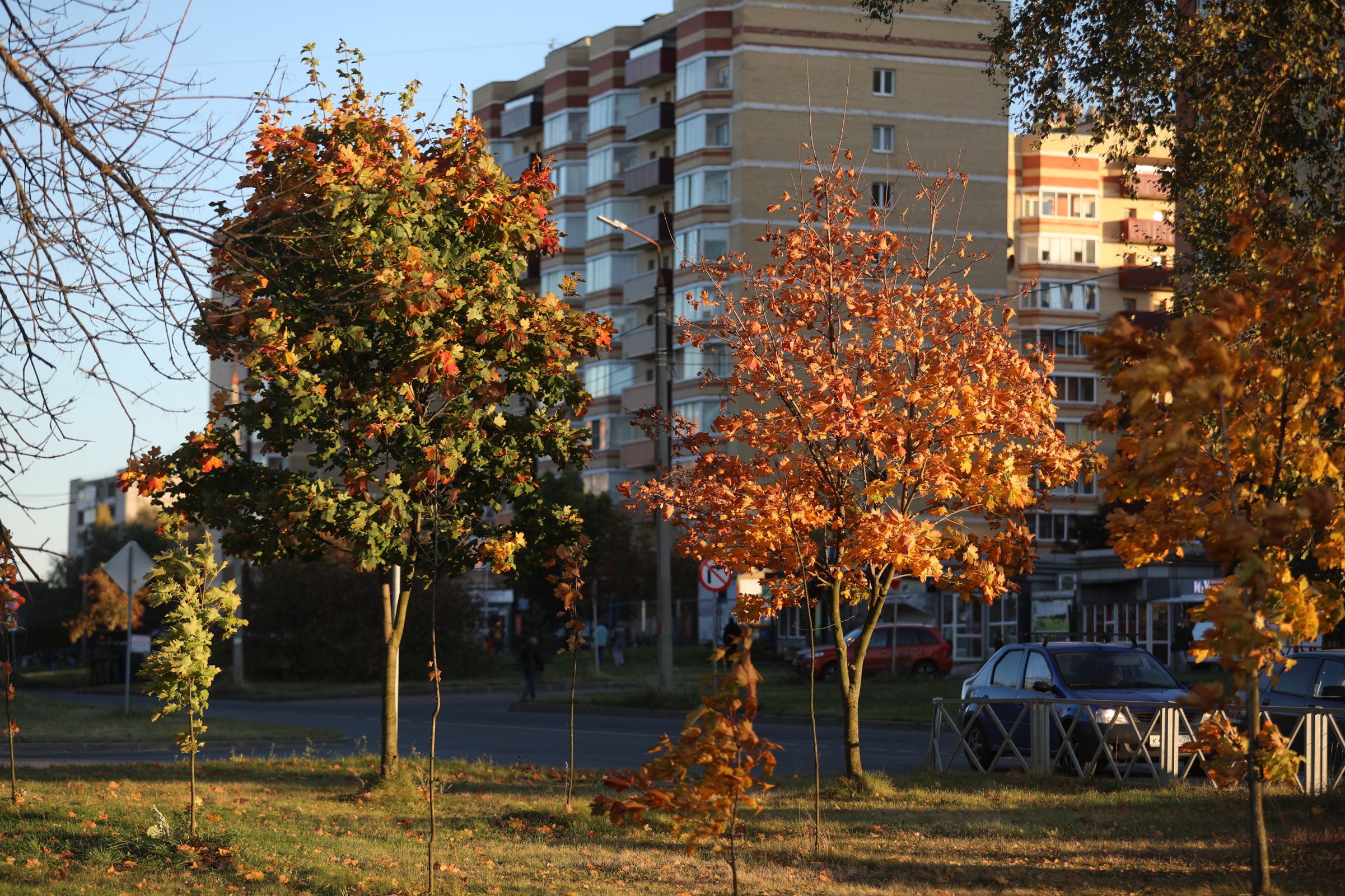 Уничтожены 3 БПЛА: Михаил Евраев сообщил об оказании помощи собственникам пострадавшего дома