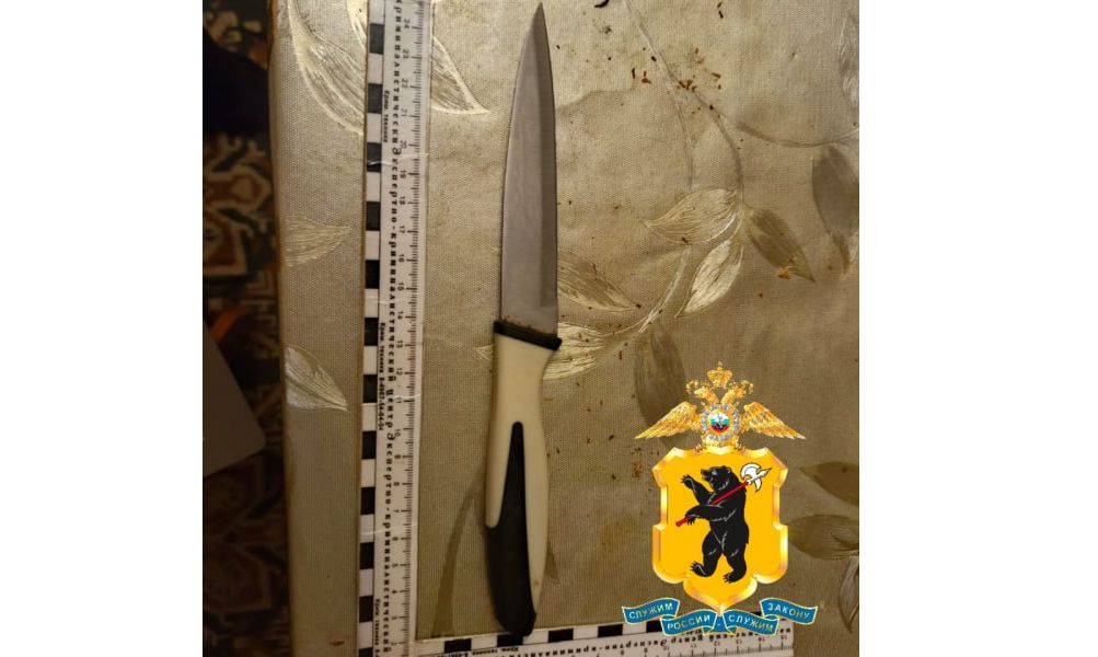 В Ярославской области отец ударил сына ножом в живот