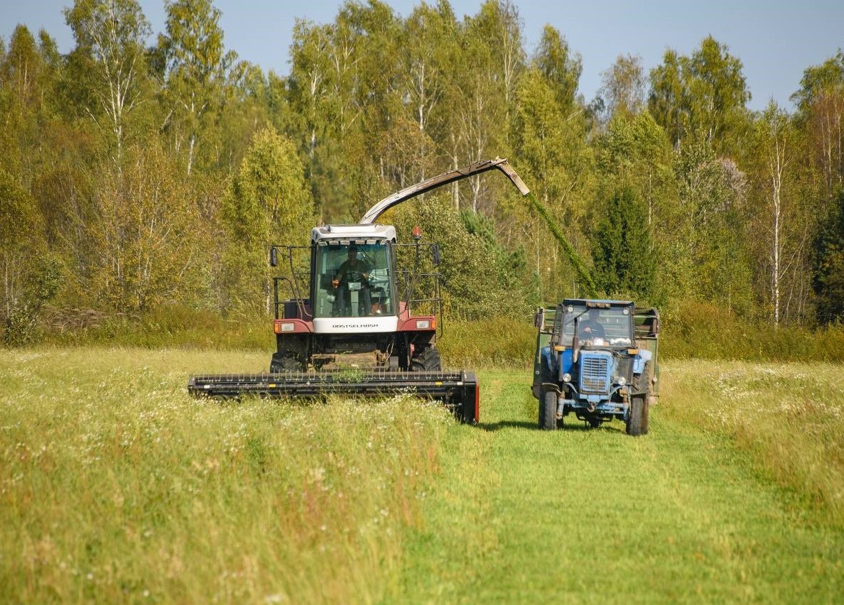 ​В Ярославской области увеличился валовой сбор зерновых